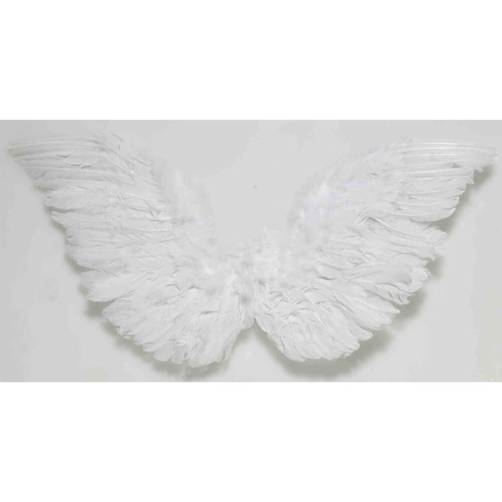 Angel Feather Wings 