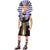 King Tut Costume