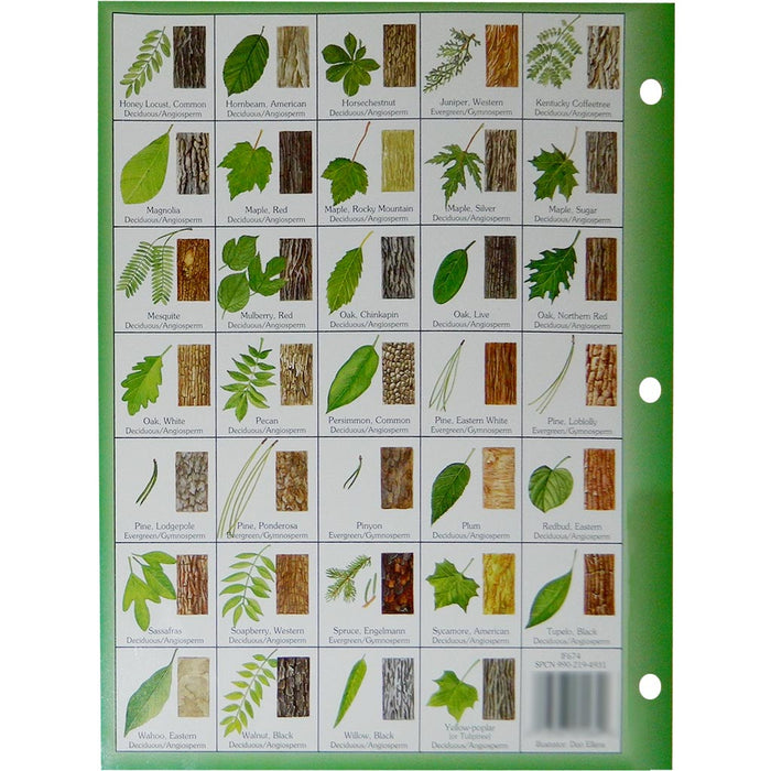 Leaves & Trees Chart