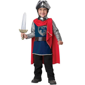 Gallant Knight Costume