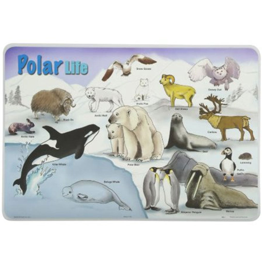 Polar Life Placemat