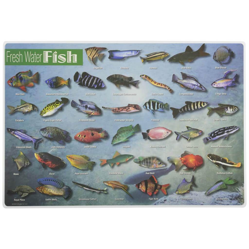 Fresh Water Fish Placemat 