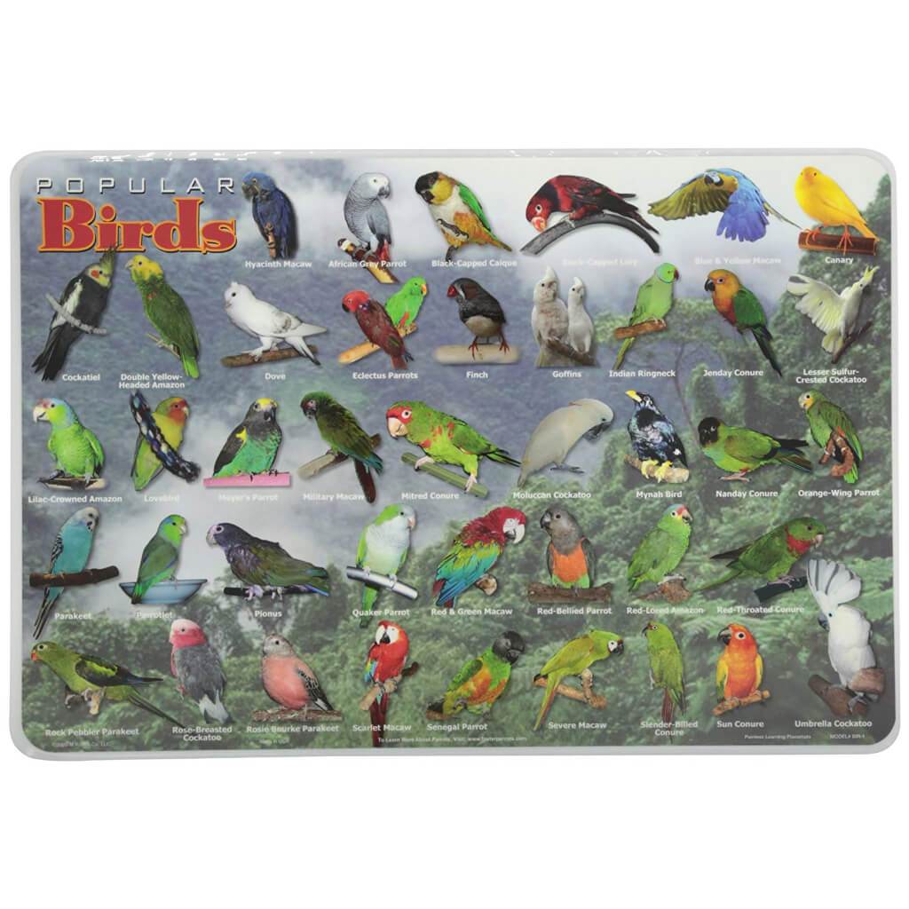 Popular Birds Placemat 