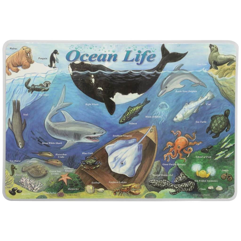 Ocean Life Placemat 