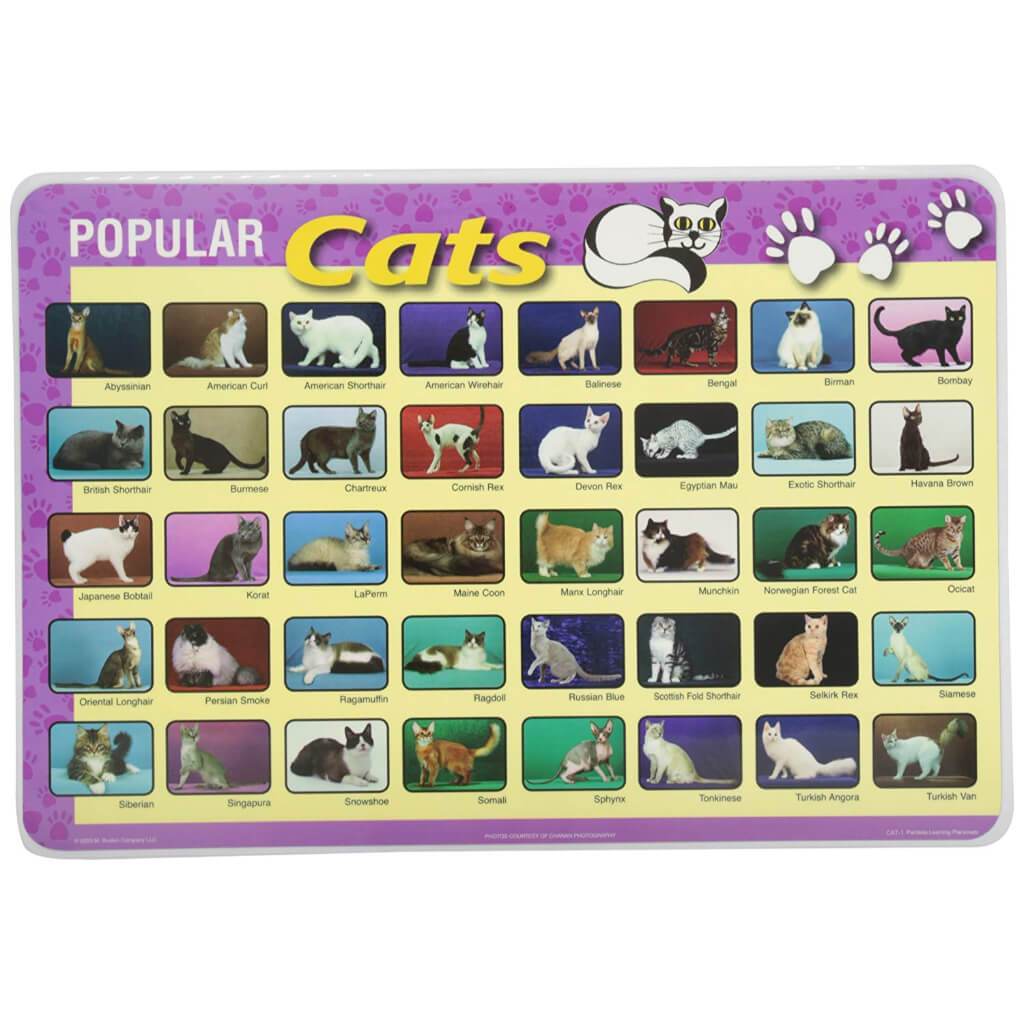 Popular Cats Placemat 