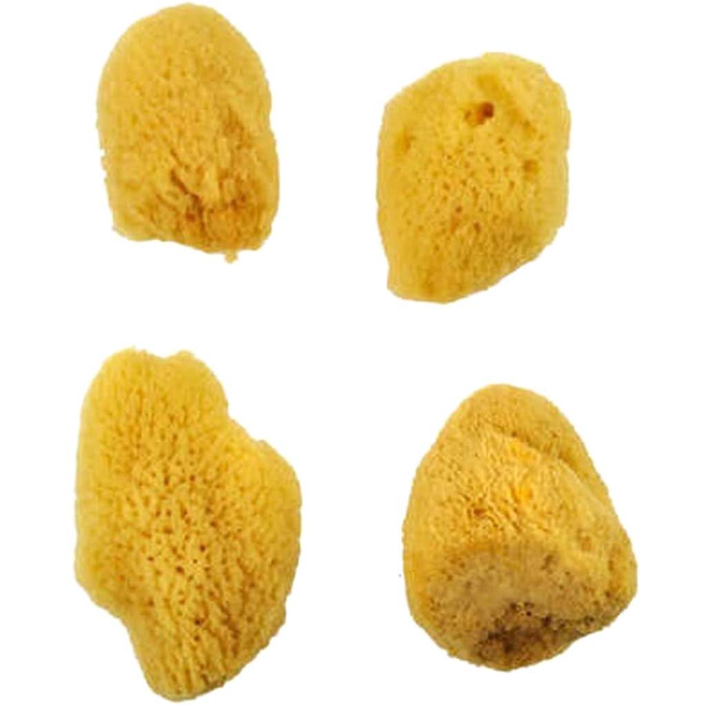 Silk Sponge Medium 4ct