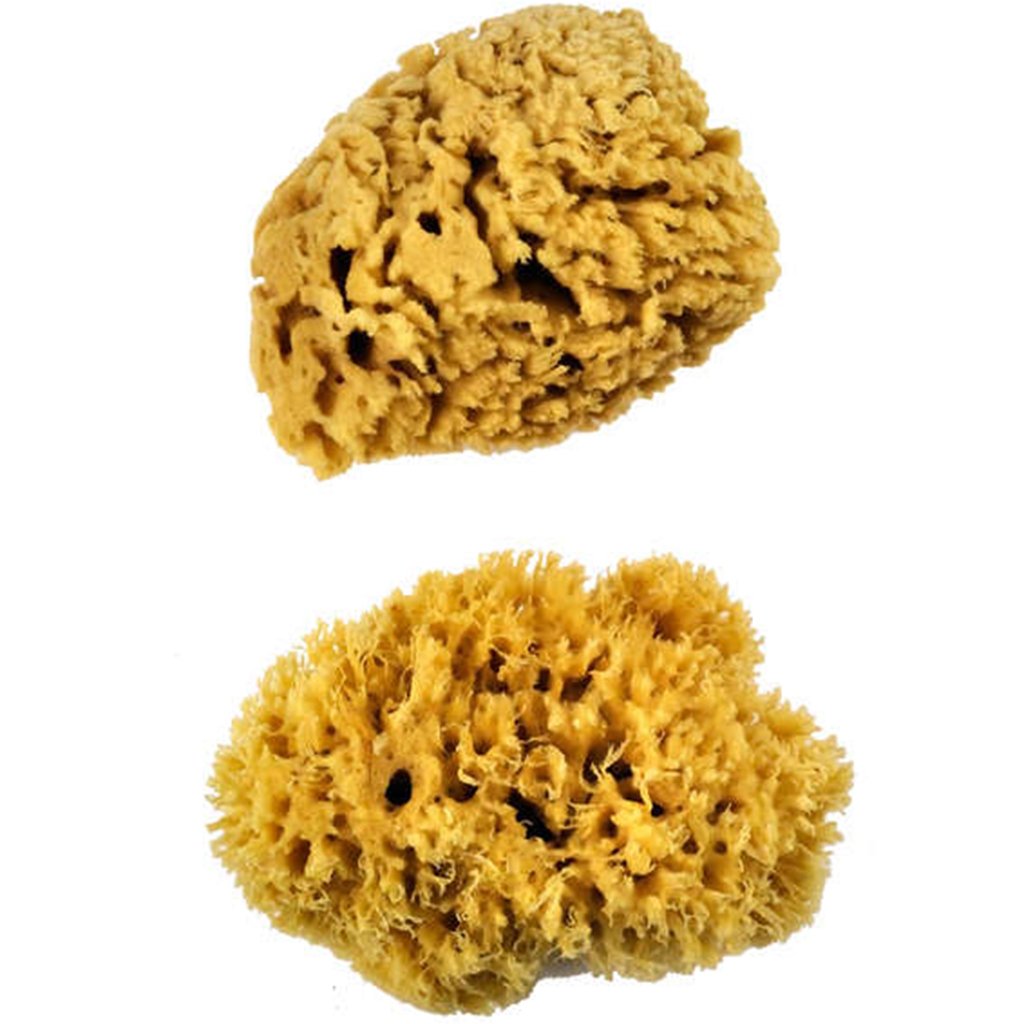 Wool Sponge XL Set 2pcs