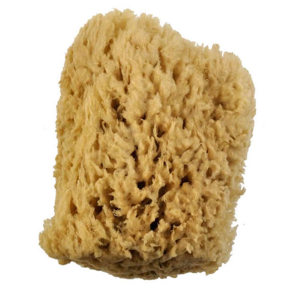 Wool Sponge