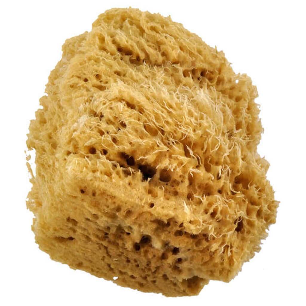 Wool Sponge 5 1/2in Jumbo