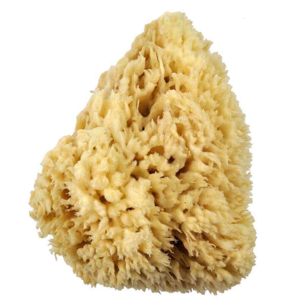 Wool Sponge