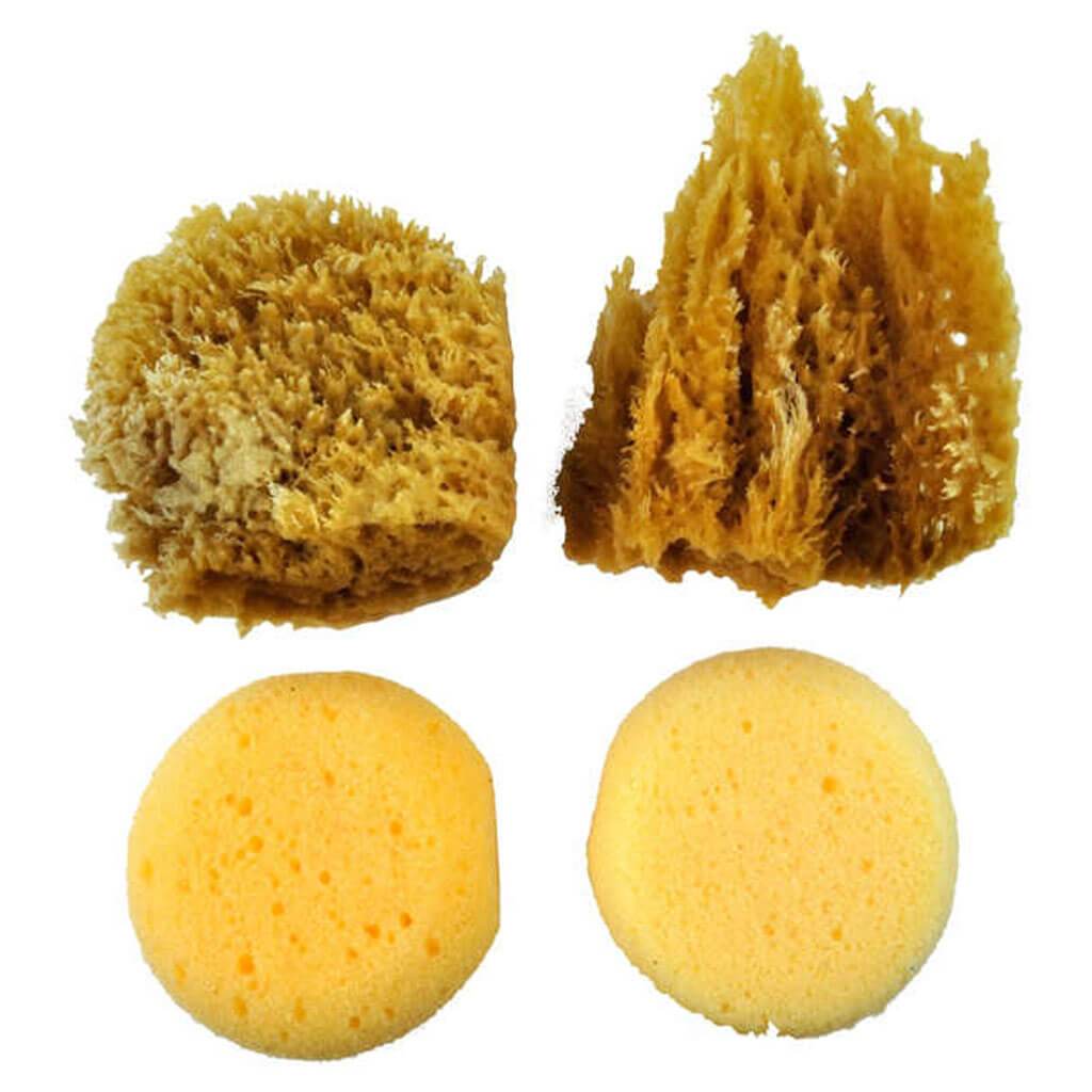 Natural and Synthetic Sponge