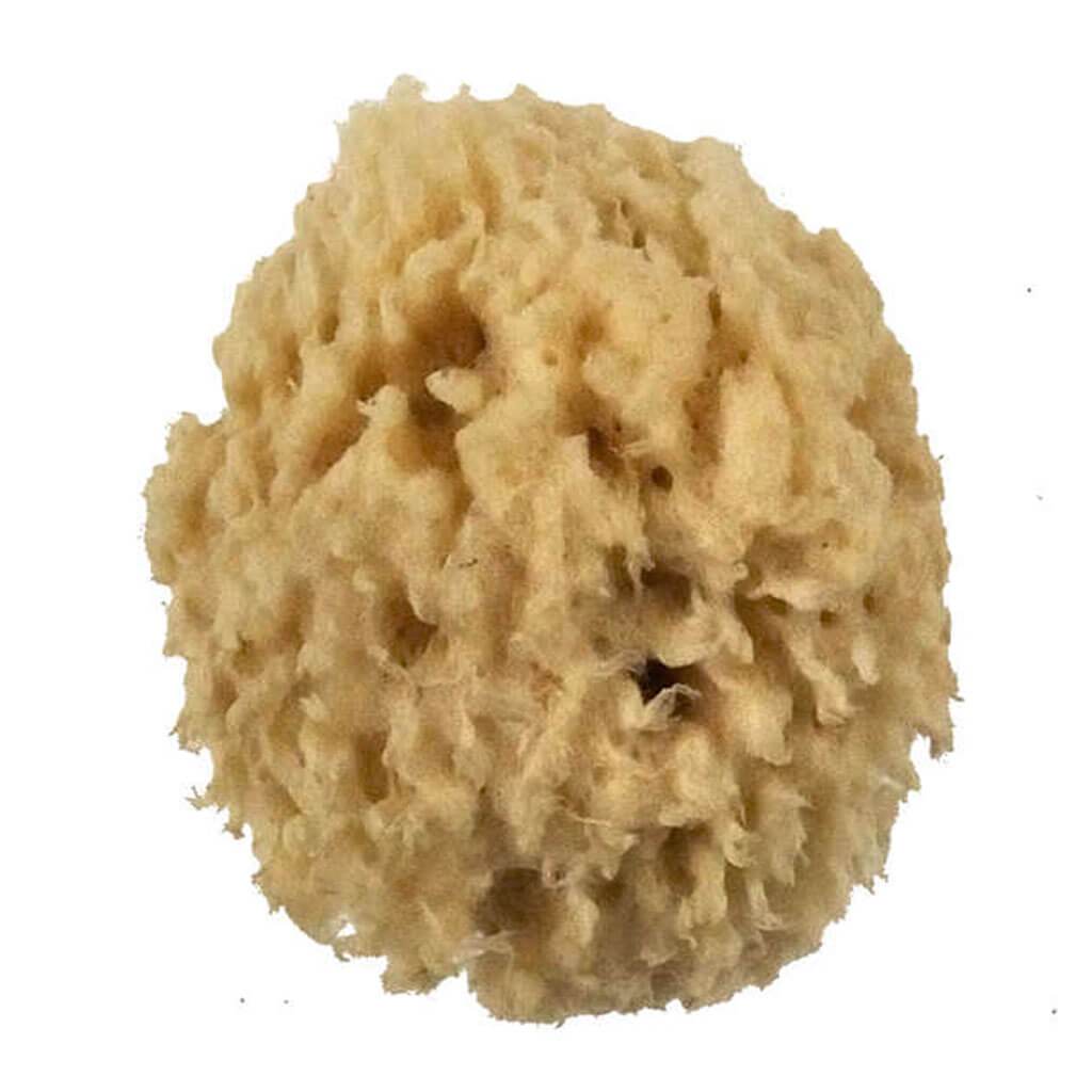 Wool Sponge