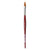 Cosmotop Spin Water Color Brush, Oval, Red Esagonal Handles