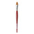 Cosmotop Spin Water Color Brush, Oval, Red Esagonal Handles