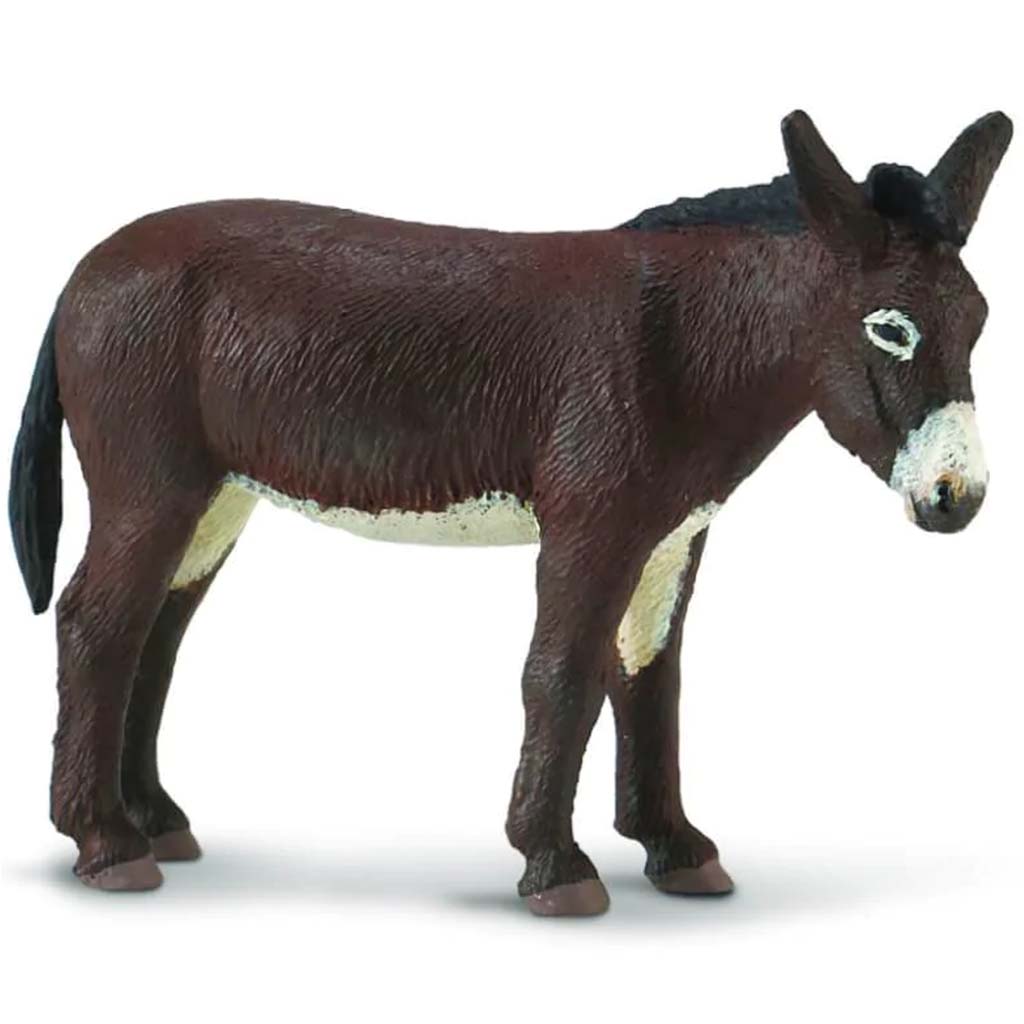 Sf Donkey 