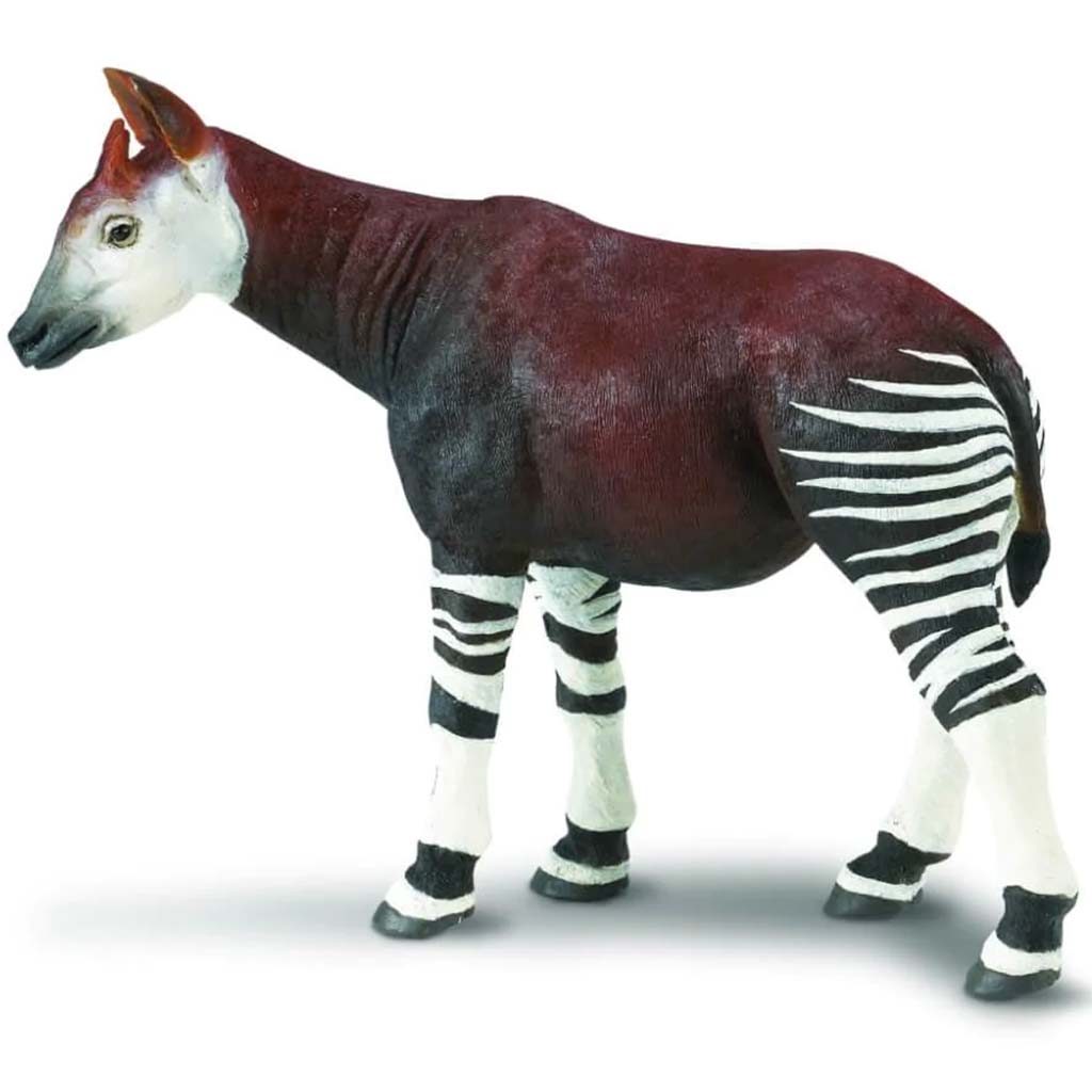 Ww Okapi 