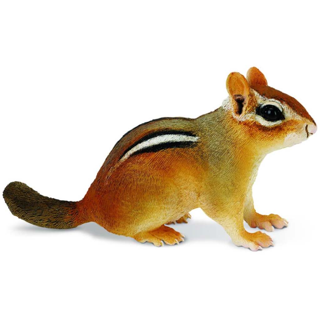 Eastern Chipmunk 