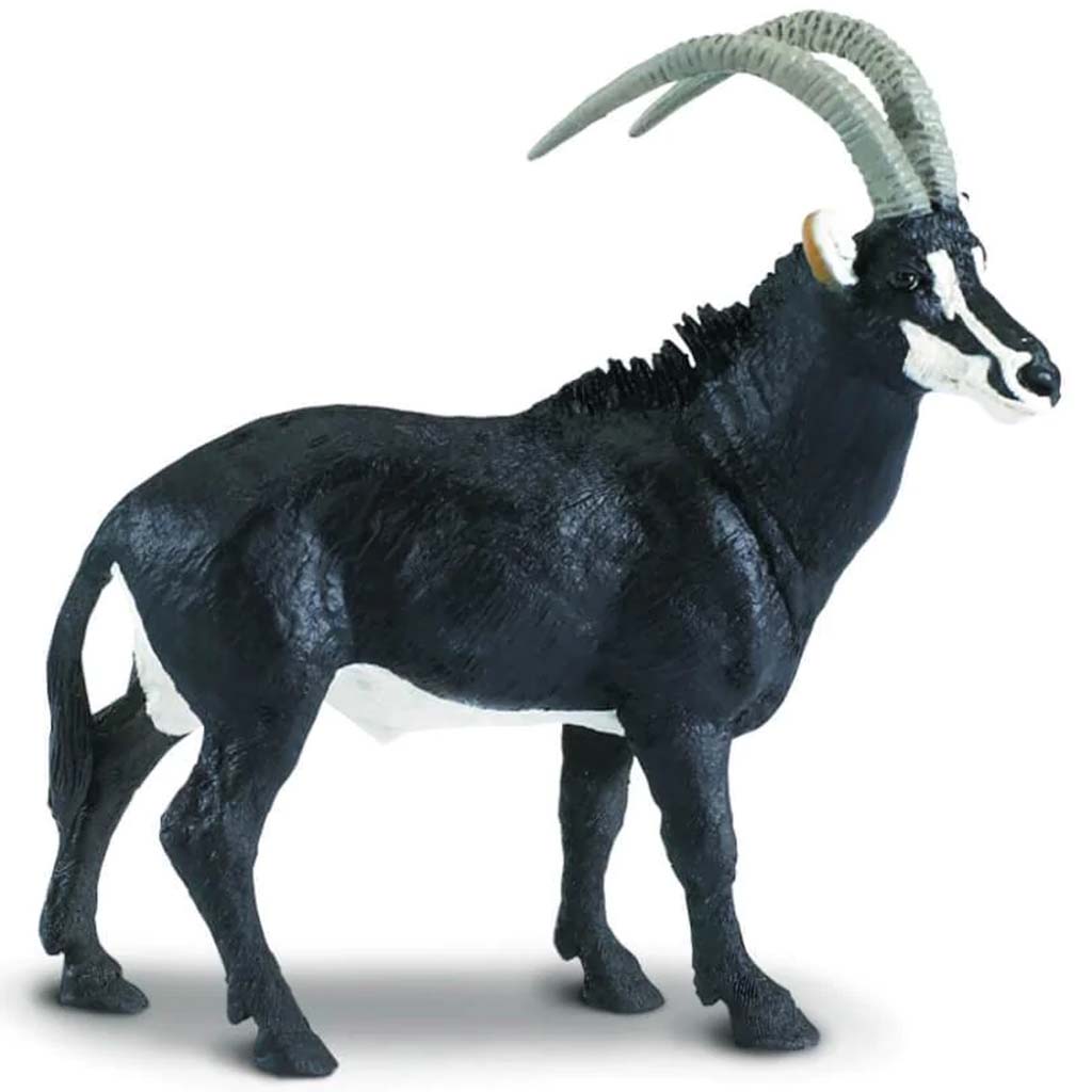 Sable Antelope 