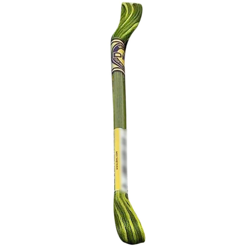 DMC Color Variations 6-Strand Embroidery Floss 8.7yd Amazon Moss