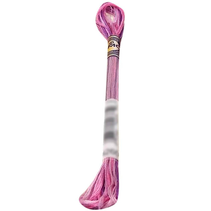 DMC Color Variations 6-Strand Embroidery Floss 8.7yd Enchated