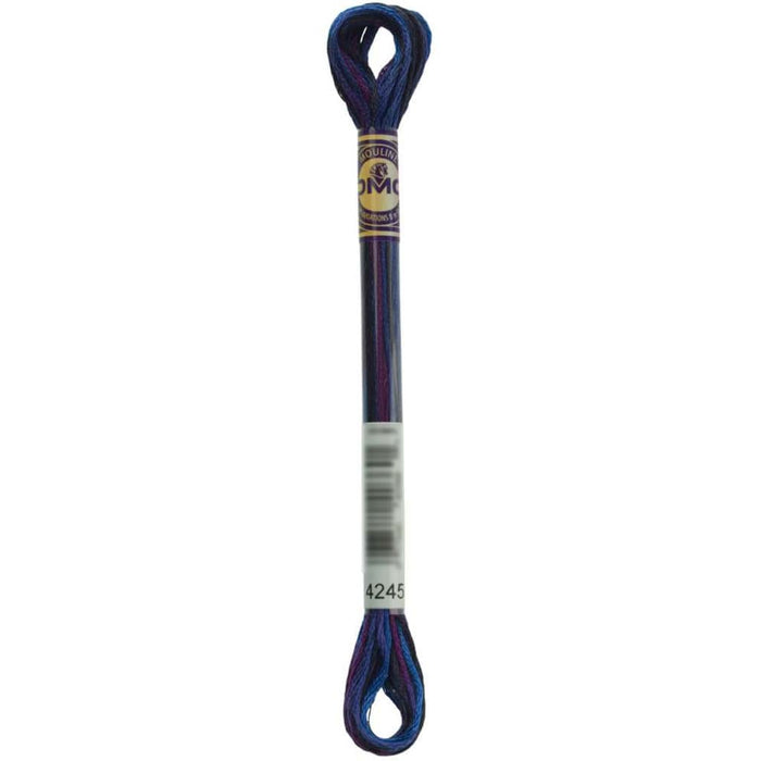 Dmc Color Variations 6 Strand Mystical Midnight 8.7Yd 