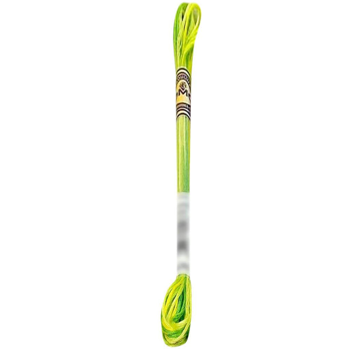 DMC Color Variations 6-Strand Embroidery Floss 8.7yd Margarita