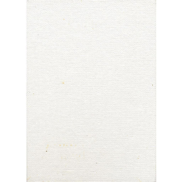 Artist Series Canvas Panels