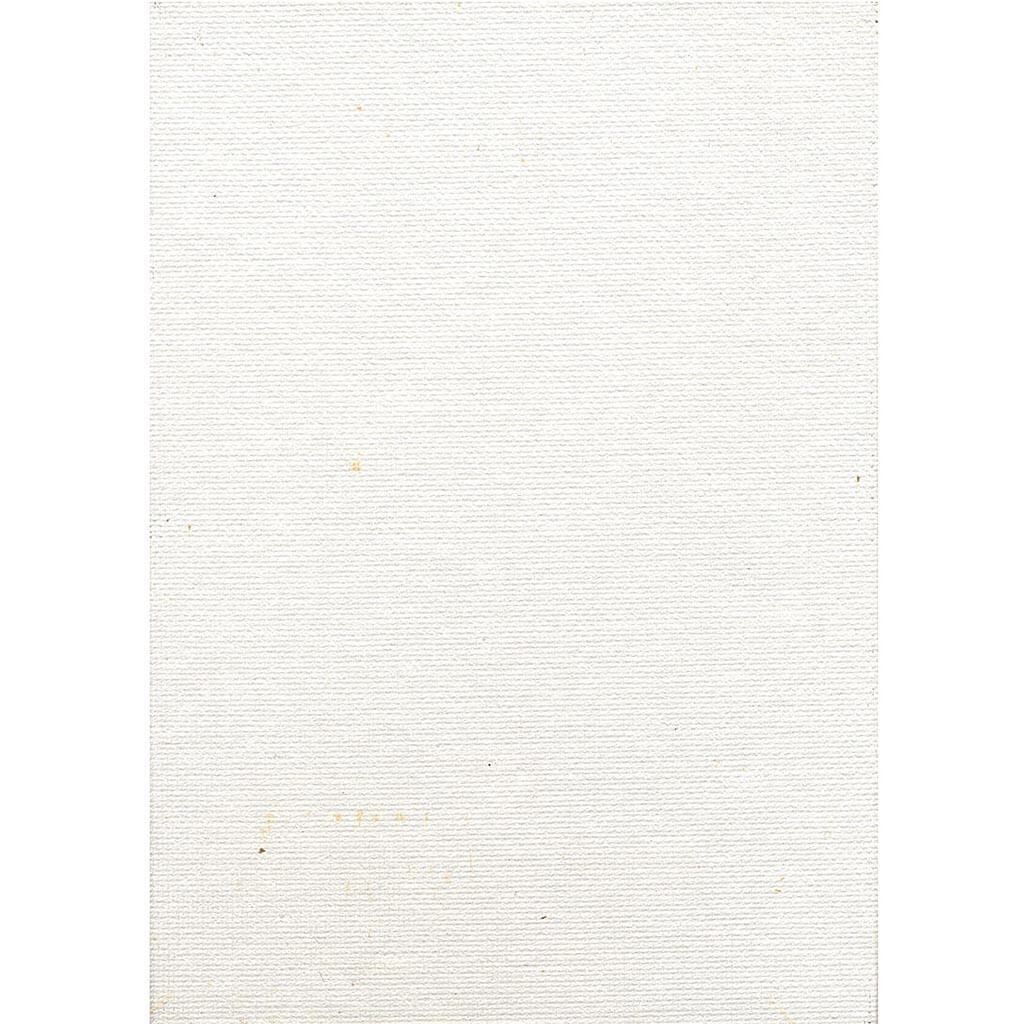 Artist Series Canvas Panels