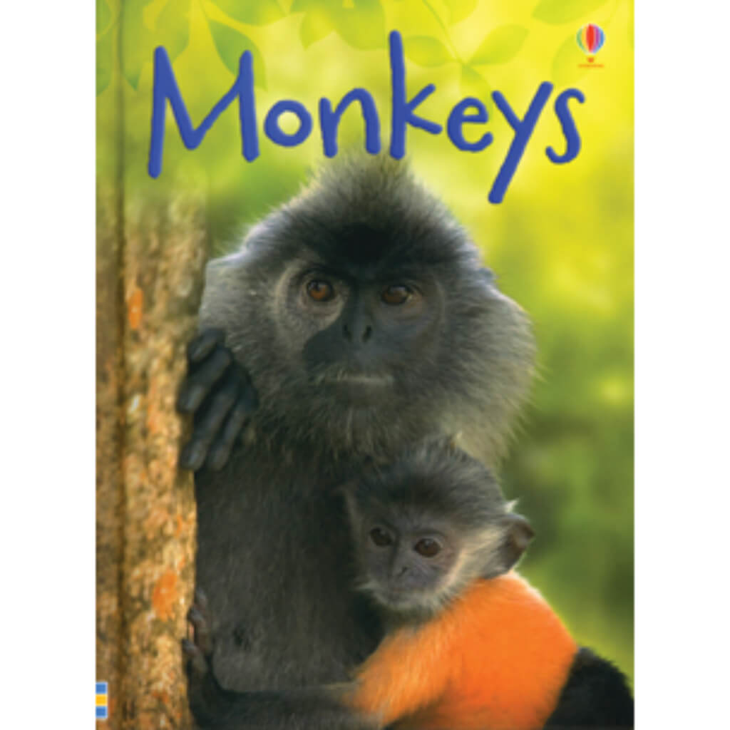 Monkeys Beginners Hardcover