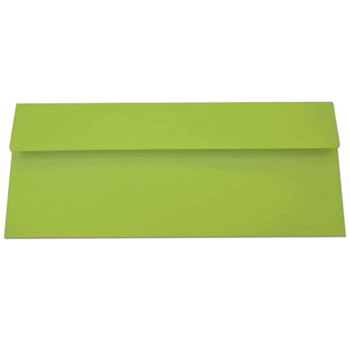 Parakeet Envelopes 10 Piece A7