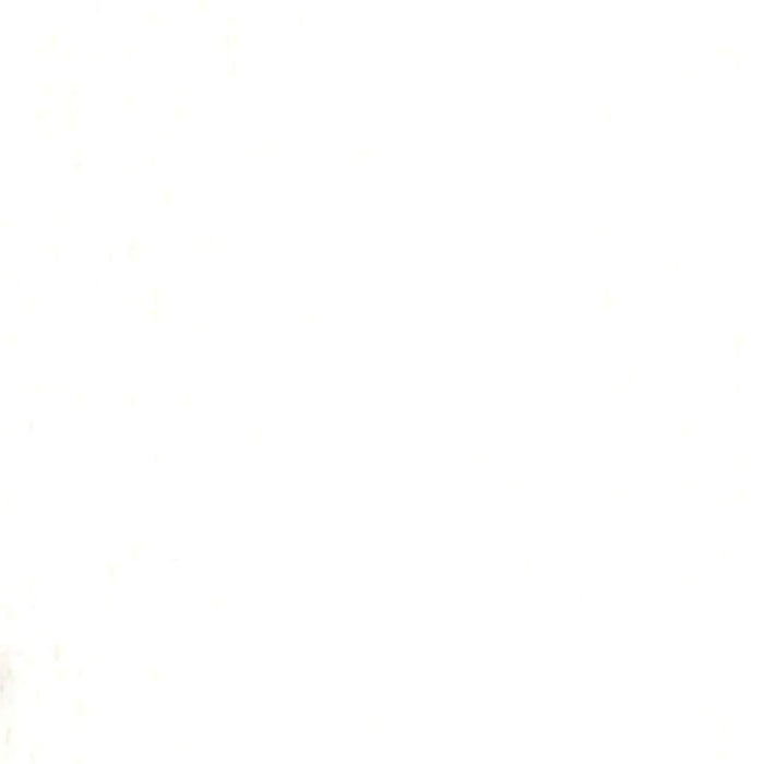 Cardstock Classic Smooth 12in x 12in White