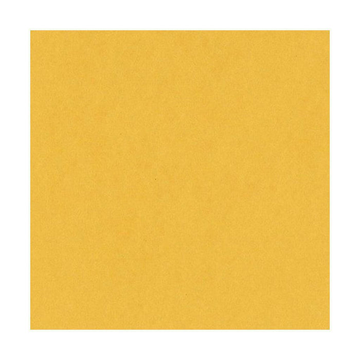 Bazzill Card Shoppe Heavyweight Cardstock Lollipop 8.5in x 11in