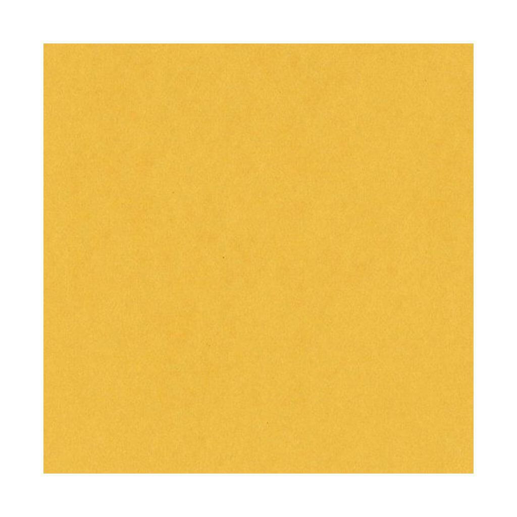 Cardstock Heavyweight 8.5in x 11in Lollipop