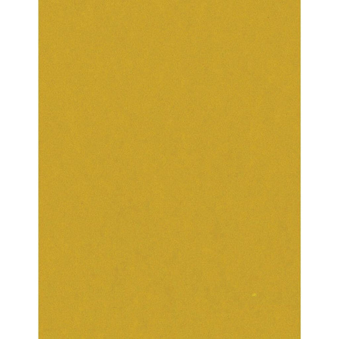 Bazzill Card Shoppe Heavyweight Cardstock 8.5in x 11in- Gold Coins