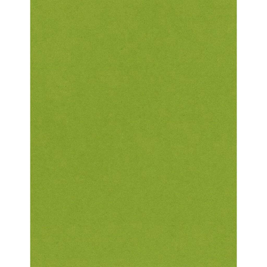 Cardstock 8.5in x 11in Easter Grass