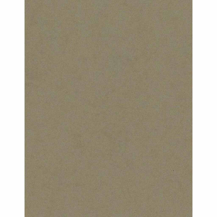 Bazzill Card Shoppe Heavyweight Cardstock 8.5in x 11in- Peanut