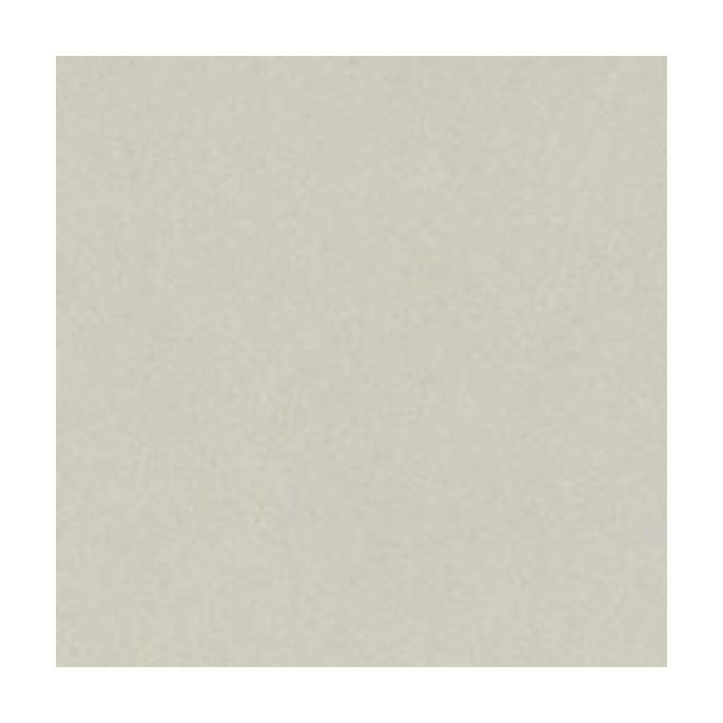 Cardstock 8.5in x 11in Heavy Weight Taffy