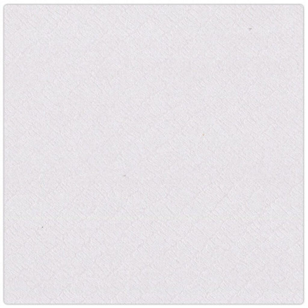 Cardstock Taffeta Textured 12in x 12in Frosted Silver