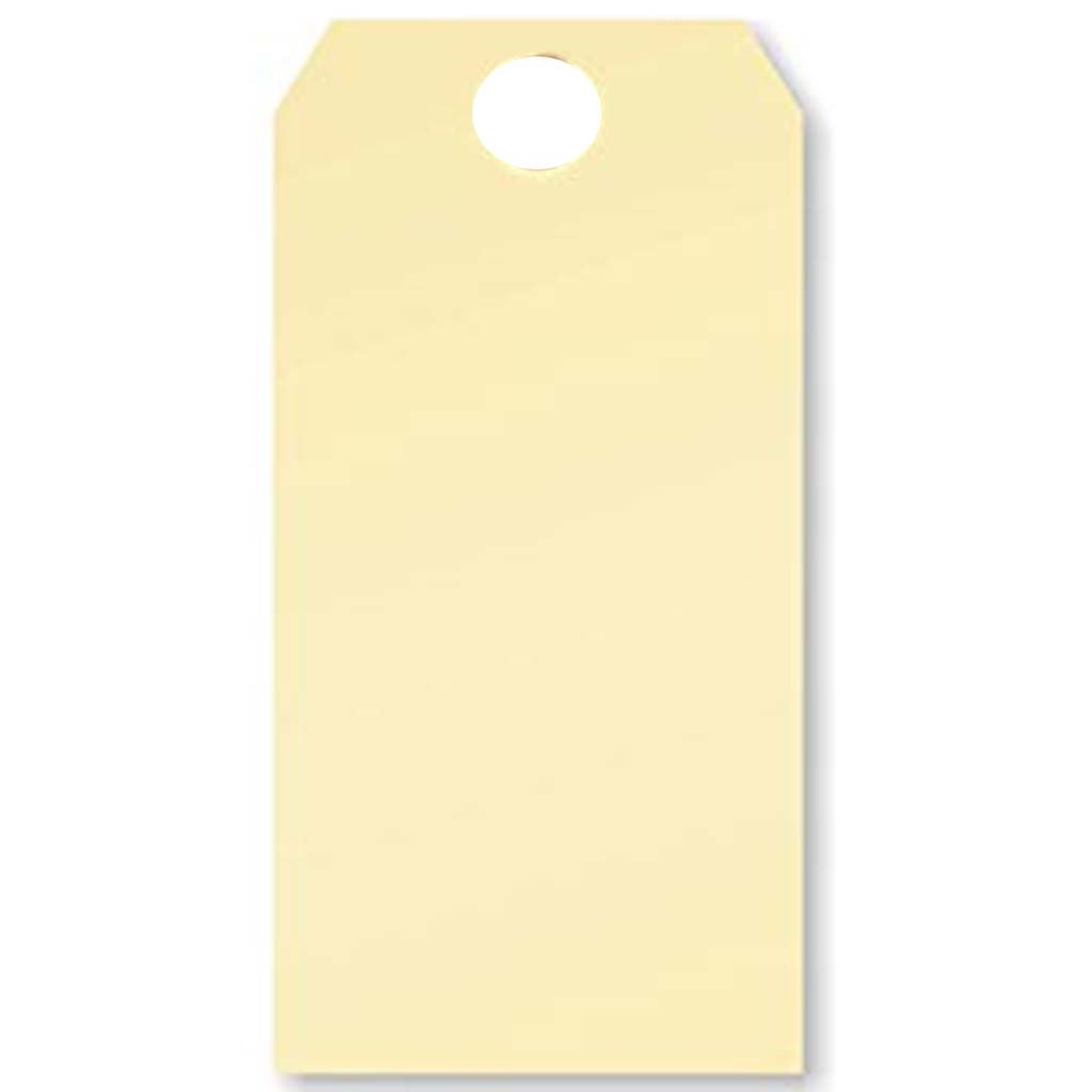 Cardstock Assorted Tags