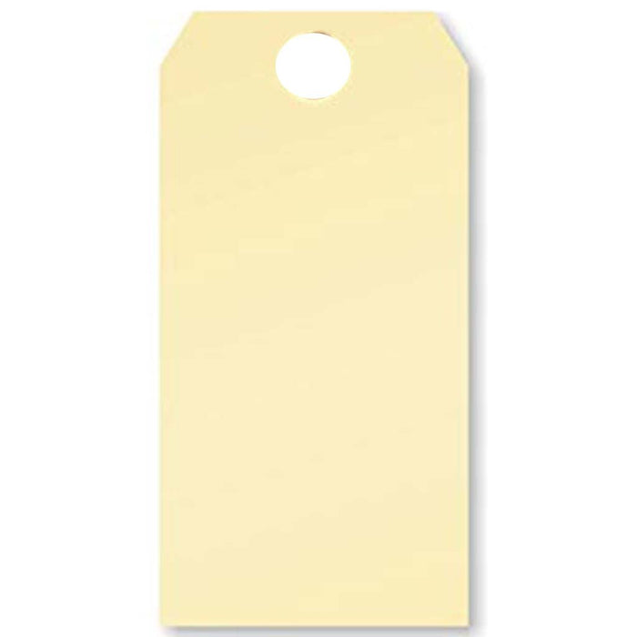 Cardstock Assorted Tags