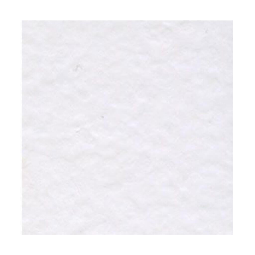 Cardstock Prismatic 12in x 12in