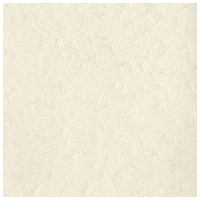 Cardstock 12in x 12in Cobblestone Prismatic