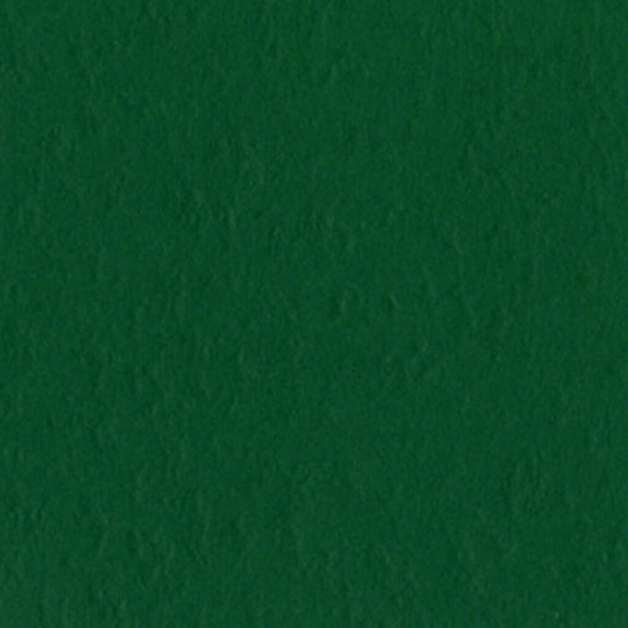 CARDSTOCK CLASSIC GREEN 12IN X 12IN 
