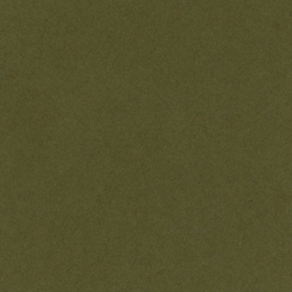 CARDSTOCK MONO 12IN X 12IN