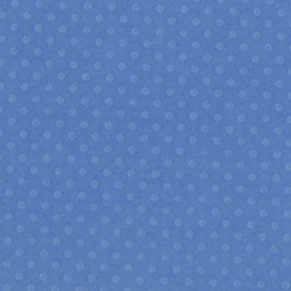 CARDSTOCK DOTTED SWISS TEXTURE 12IN X 12IN