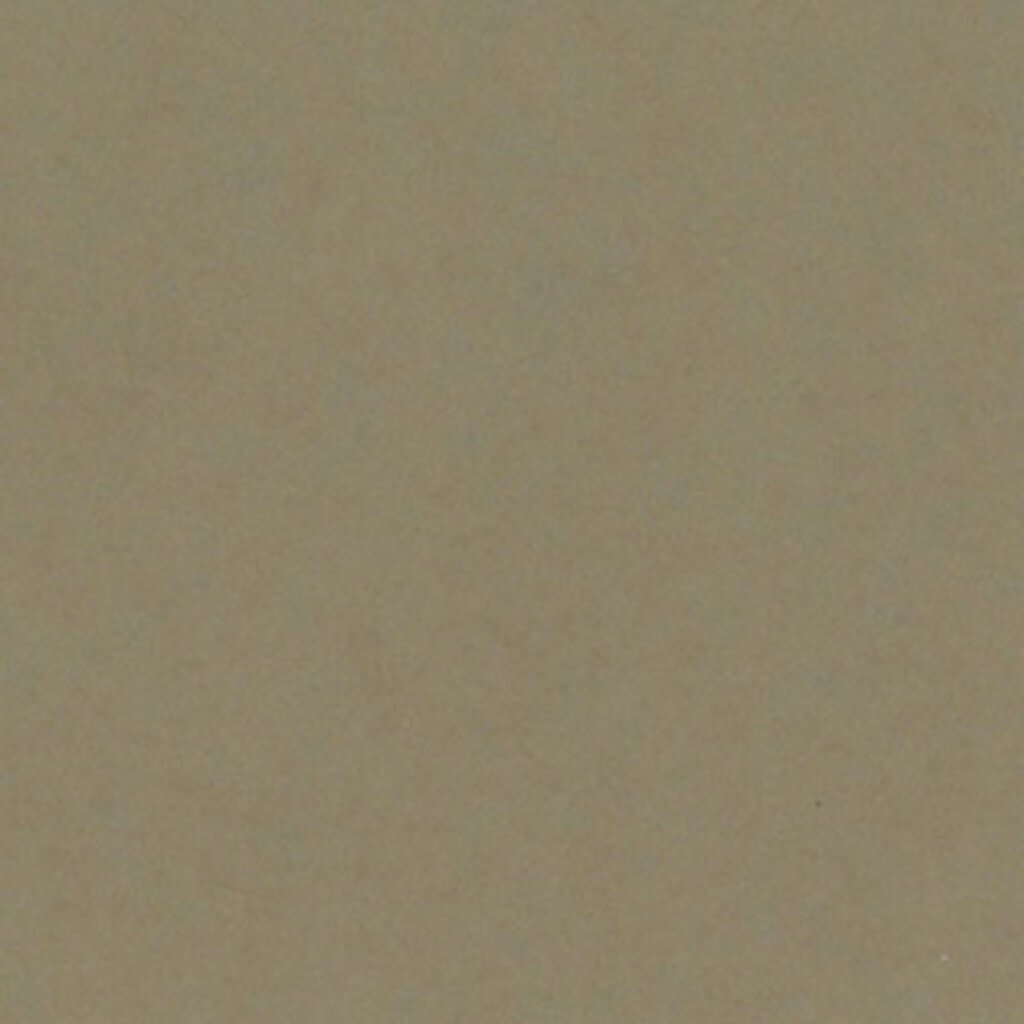 CARDSTOCK HEAVYWEIGHT 12IN X 12IN