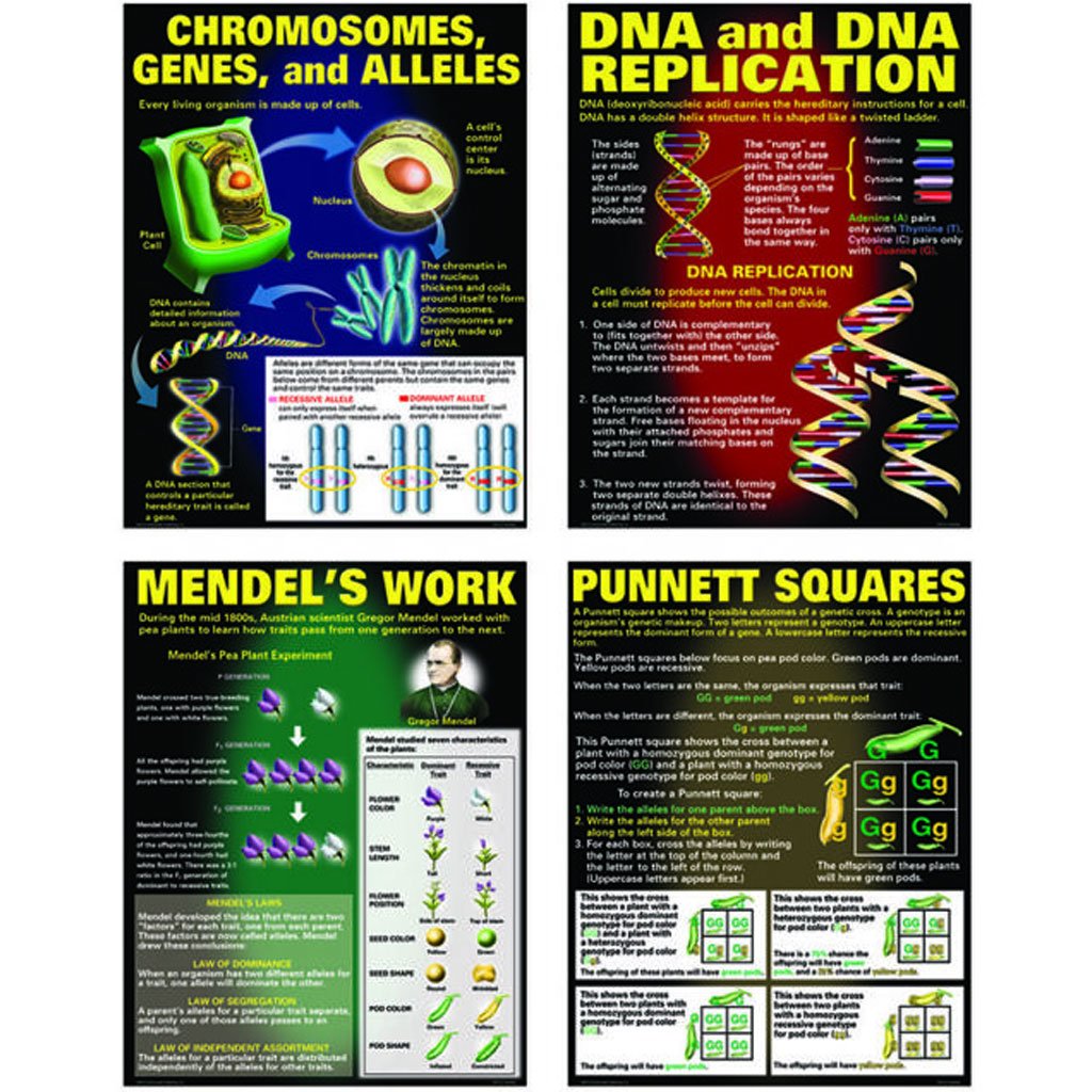 Dna &amp; Heredity Teaching Poster Set