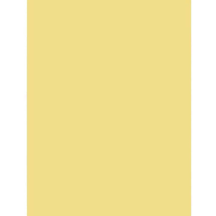 Premium Coated Poster Board 22in x 28in Buff