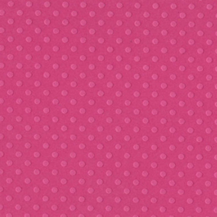 CARDSTOCK DOTTED SWISS TEXTURE 12IN X 12IN
