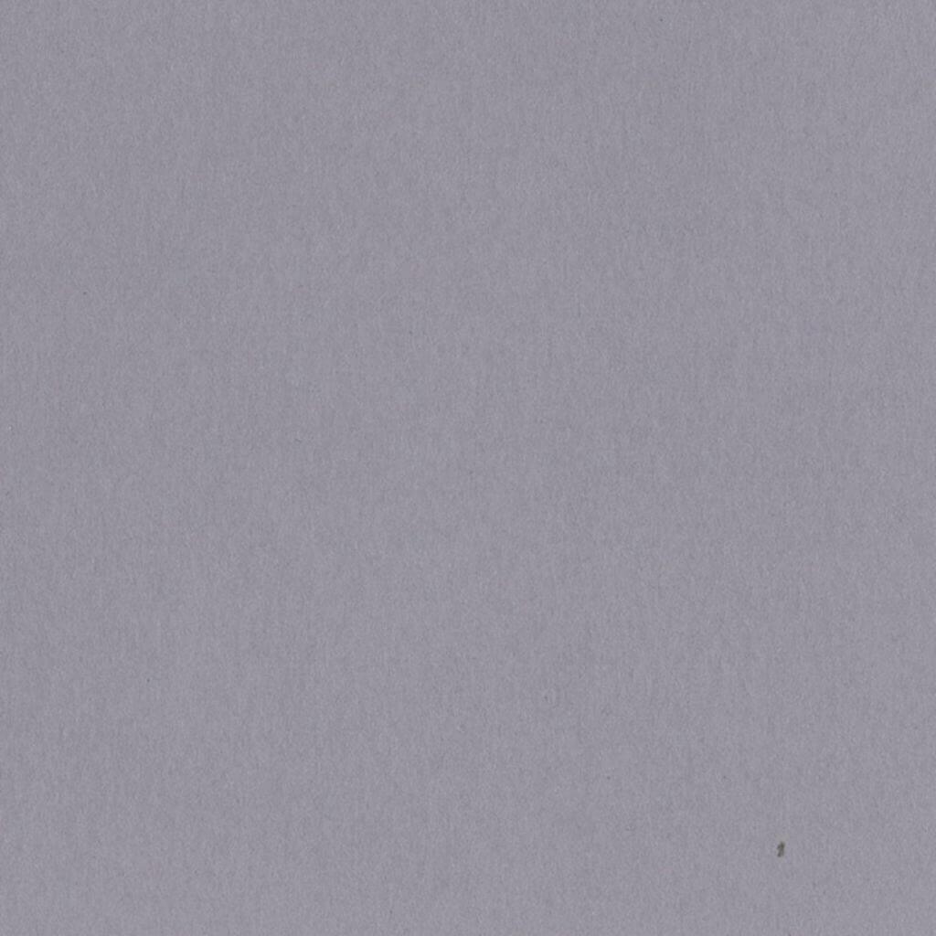 Cardstock 12in x 12in Date Swirl